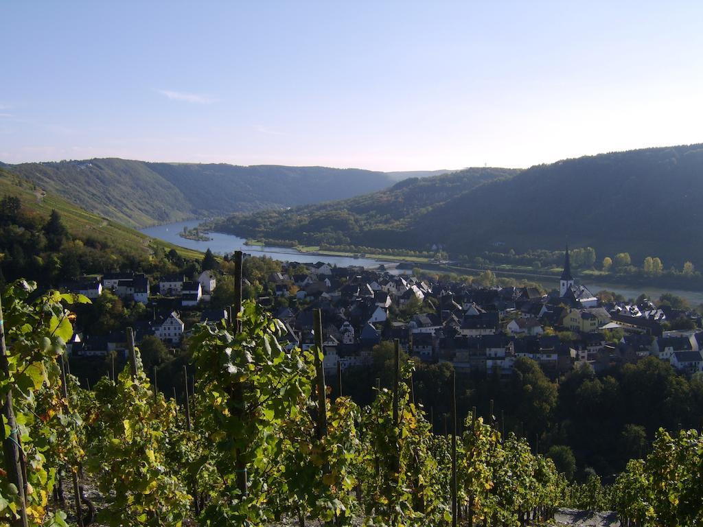 Weingut Matthias Dauns Apartamento Reil Exterior foto