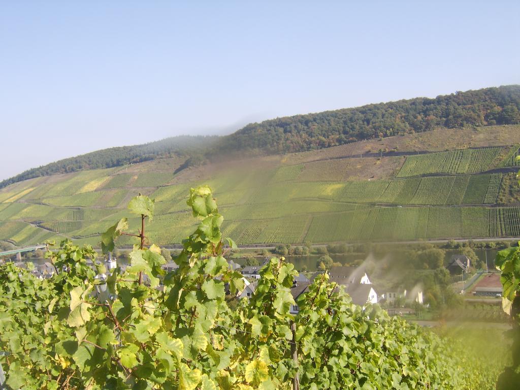 Weingut Matthias Dauns Apartamento Reil Exterior foto