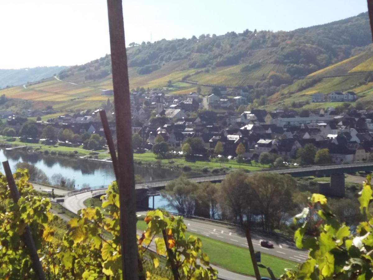 Weingut Matthias Dauns Apartamento Reil Exterior foto